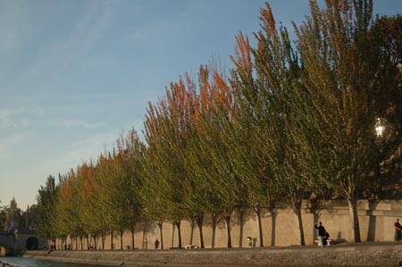France4 (149)