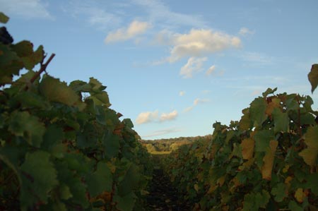 France4 (214)