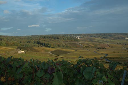 France4 (215)