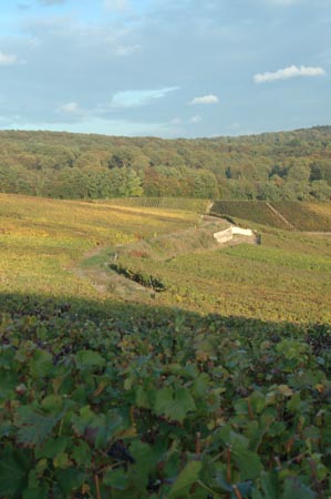 France4 (216)