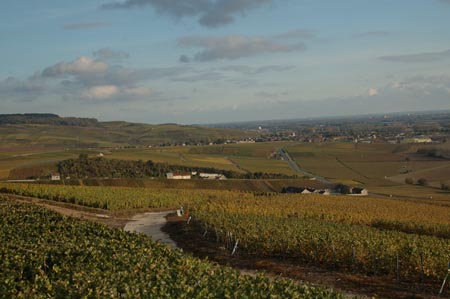 France4 (296)