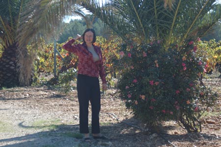 FranceA (50)