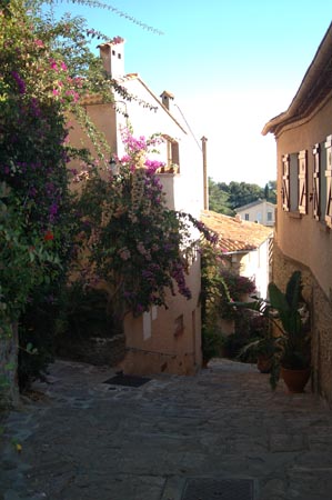 FranceA (81)