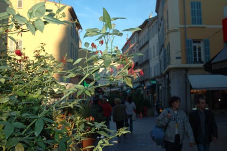FranceA (9)