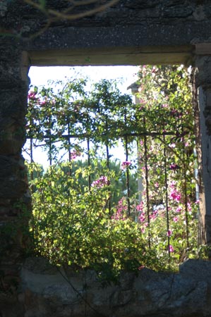 FranceA (97)