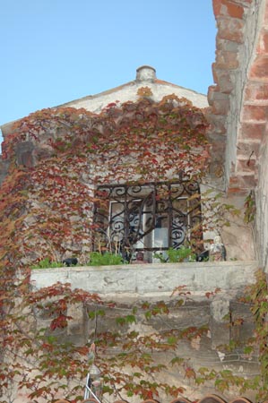 FranceB (108)