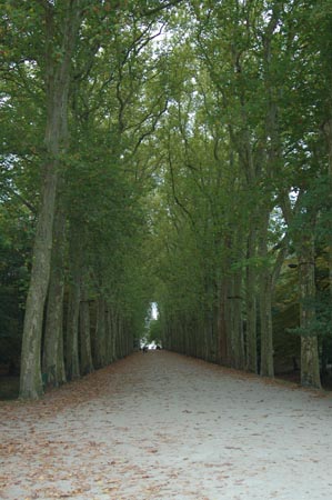 FranceB (145)