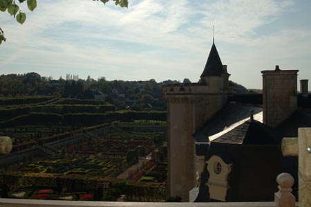 FranceB (222)