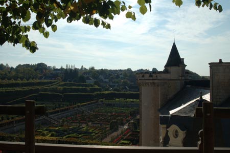 FranceB (223)