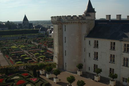 FranceB (228)