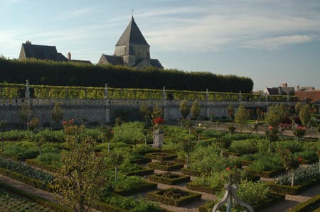FranceB (246)