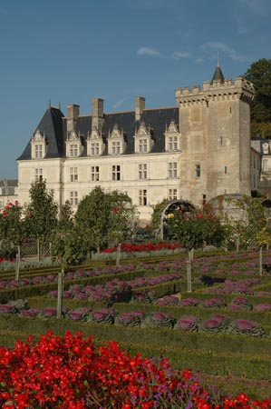 FranceB (247)