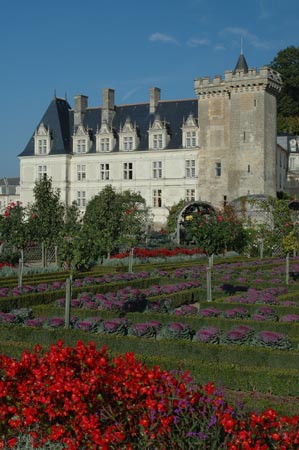 FranceB (248)