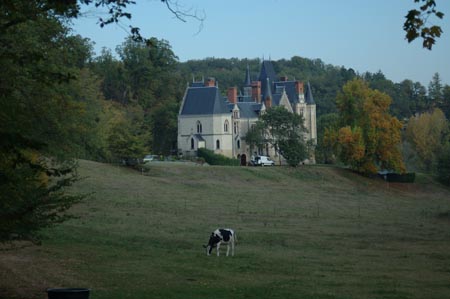 FranceB (302)