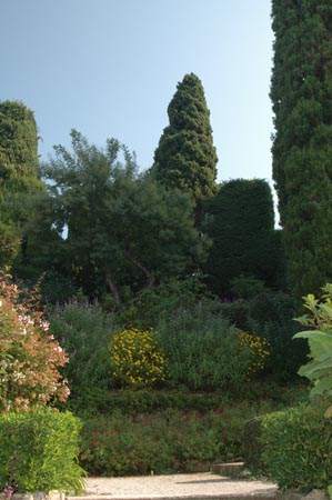 FranceB (40)