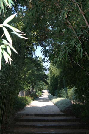 FranceB (47)