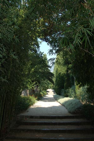 FranceB (48)