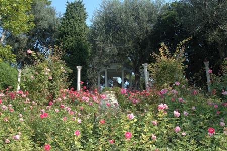 FranceB (54)