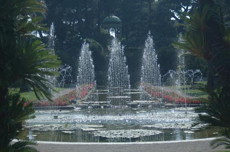 FranceB (72)