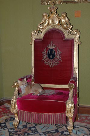FranceC (12)