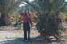 FranceA (50)
