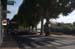 FranceB (214)