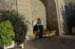 FranceB (230)